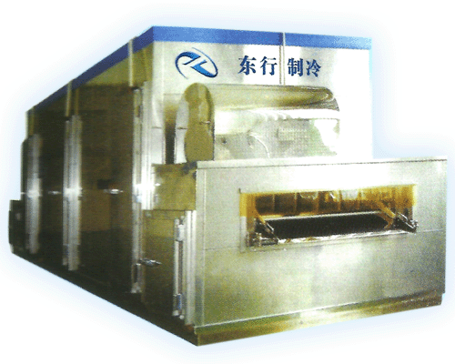 ����ʽ������